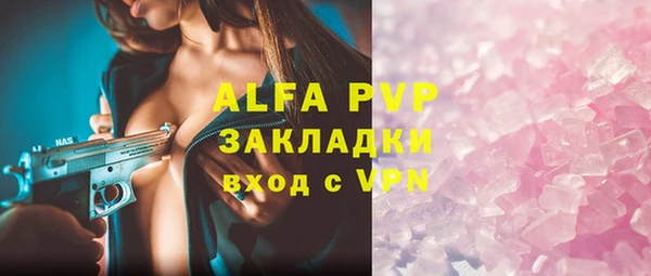 хмурый Арсеньев