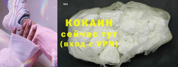 шишки Аркадак