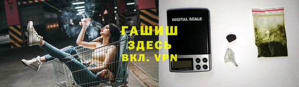 шишки Аркадак