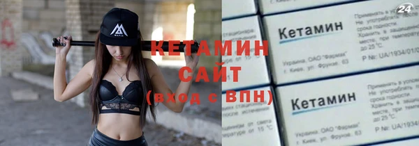 шишки Аркадак