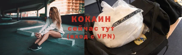 хмурый Арсеньев