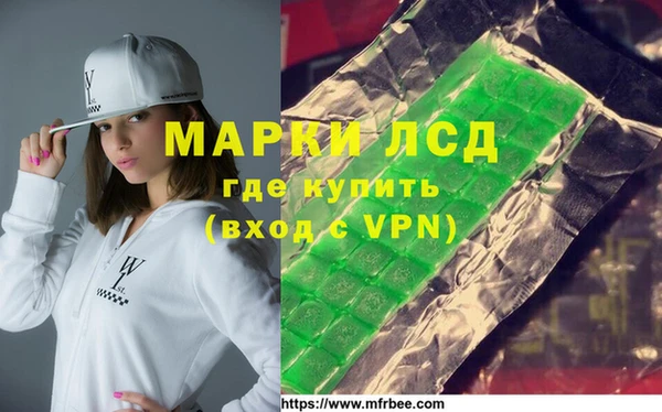 хмурый Арсеньев