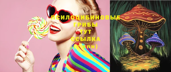 шишки Аркадак
