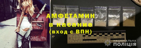 шишки Аркадак