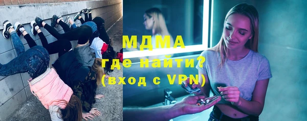 шишки Аркадак