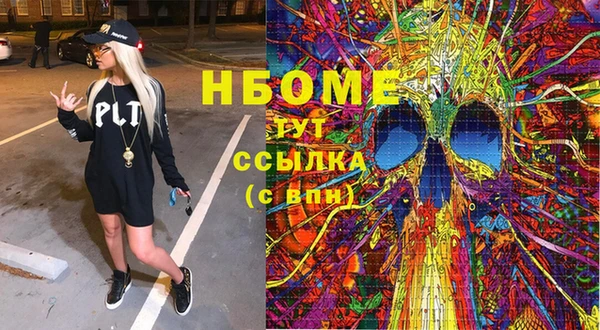 хмурый Арсеньев