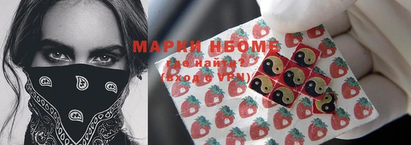 шишки Аркадак